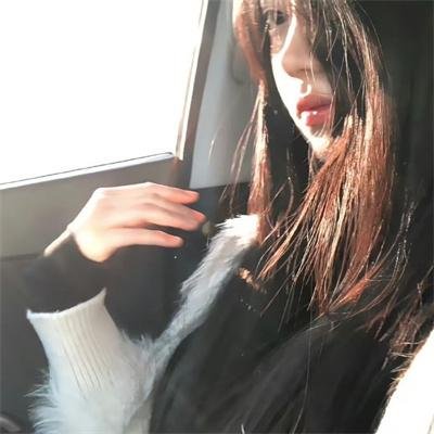 亚西西的圣方济各
